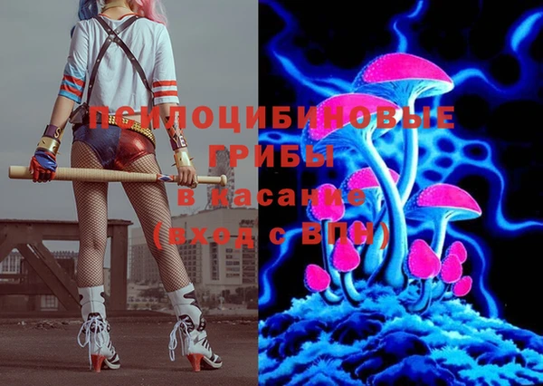 ешки Алексин