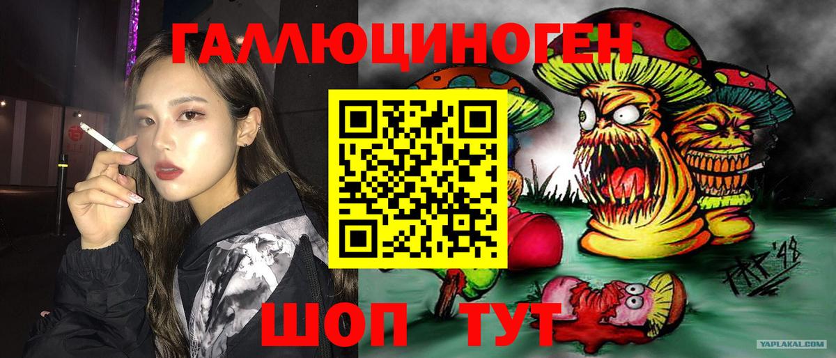 Кольчугино  Галлюциногенные грибы прущие грибы  Вход с VPN 